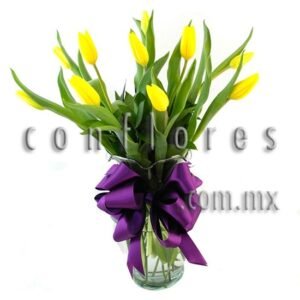 tulipanes df Archivos - Florería conflores