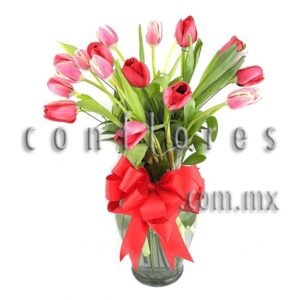 Tulipanes Morados en Coyoacán Lo Mejor de Mi Vida - Florería conflores