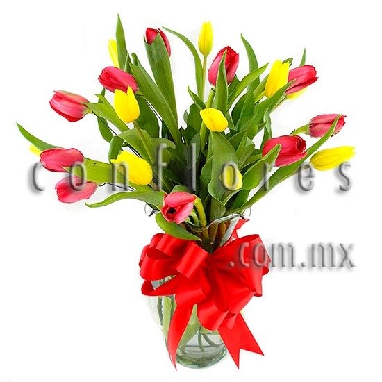 Tulipanes Rojos Del Valle Te Regalo Besos - Florería conflores