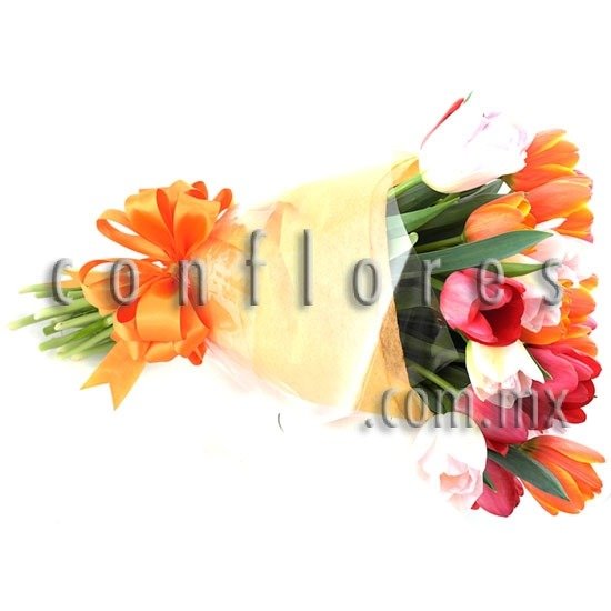 Tulipanes en Narvarte Amor & Amor - Florería conflores