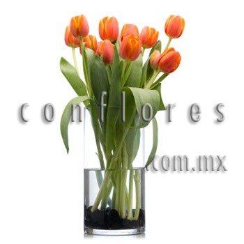 Tulipanes Naranja Para Regalar CMDX - Florería conflores