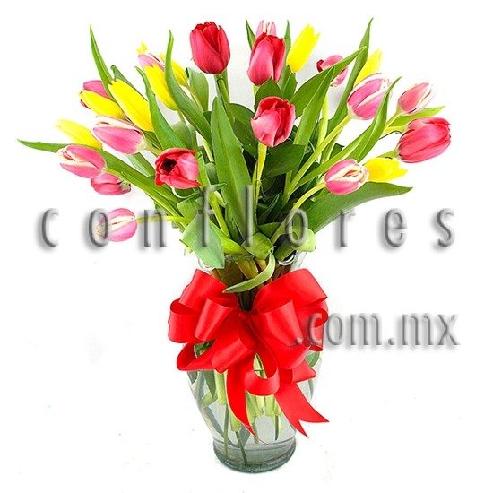 Regala Flores Tulipanes Sentimiento - Florería conflores