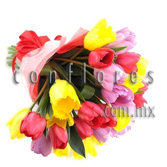 tulipanes en ramo