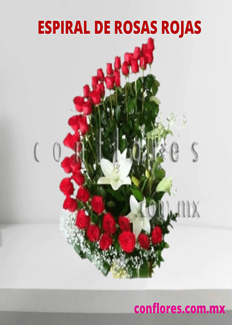 Arreglos con Rosas Rojas Super Palmyra ! - Florería conflores