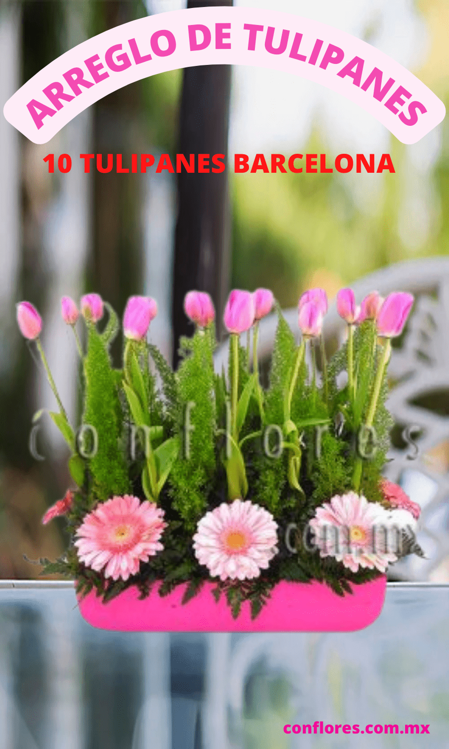 Arreglo de Tulipanes Rosa Pink - Florería conflores