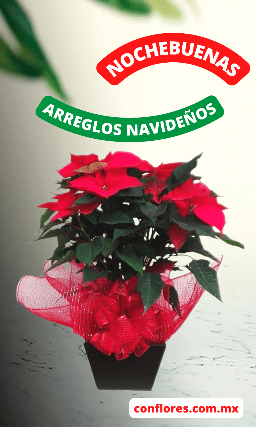 Arreglos Navideño con Nochebuena Navideña - Florería conflores
