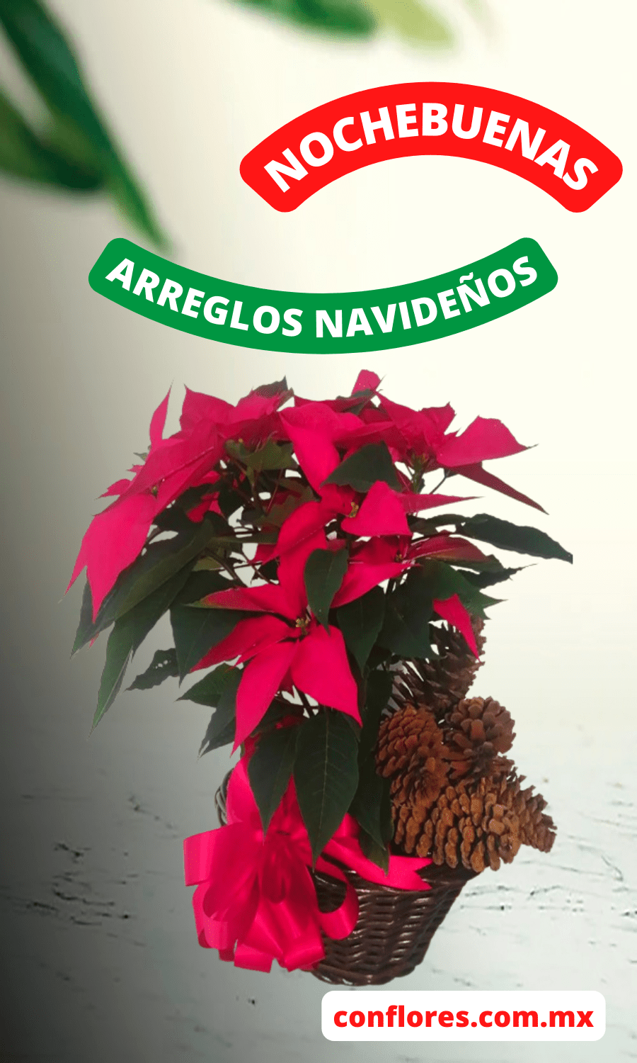 Canasta de Nochebuena Caramelo Hermoso ! - Florería conflores