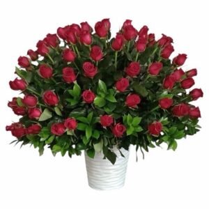 Florerías CDMX Sur Rosas Rojas Samurai