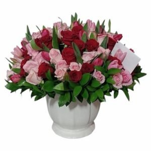 Rosas Rojas y Rosas a Domicilio Tulips CDMX