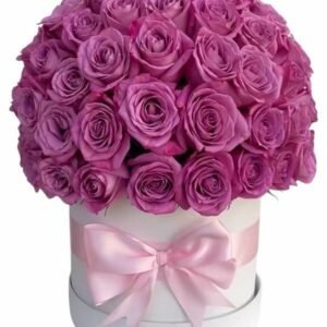 Envió de Flores 75 Rosas Moradas en base