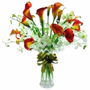 Orquídeas  y Calas Florerías Coyoacán