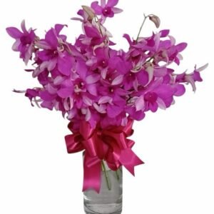 Orquídeas Dendrobium Enamorados