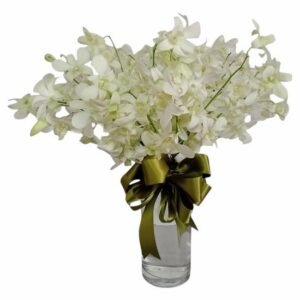 Orquídeas Dembrobium Blancas Pureza!!!!