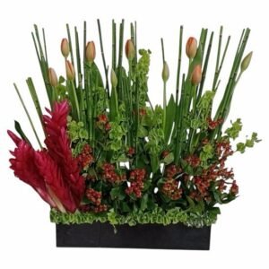 Arreglo de Tulipanes Naranja e Hipericum